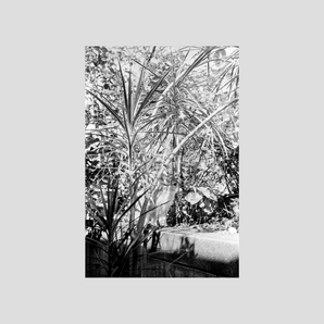 姚愛寗 ｜【餘像14.344】展覽作品＿23