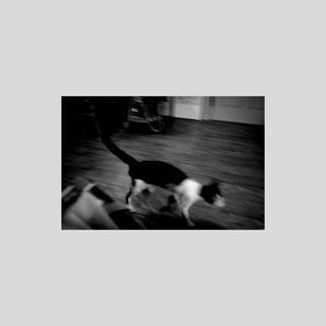 姚愛寗 ｜【在】展覽作品＿06