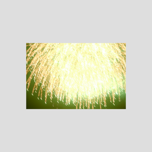 姚愛寗 ｜【餘像14.344】展覽作品＿26