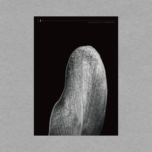 林予晞 Allison Lin |《Composition: Rest》系列攝影展海報 ─ 海報 A｜海報