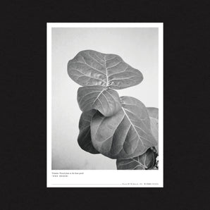 林予晞 Allison Lin |《Composition: Rest》系列攝影展海報 ─ 海報 B｜海報