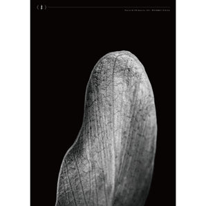 林予晞 Allison Lin |《Composition: Rest》系列攝影展海報 ─ 海報 A｜海報