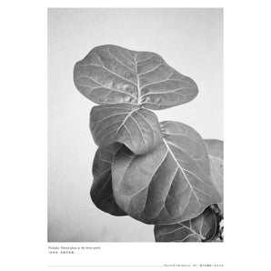 林予晞 Allison Lin |《Composition: Rest》系列攝影展海報 ─ 海報 B｜海報