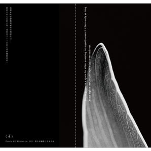 林予晞 Allison Lin｜《Composition: Rest》系列攝影展 空白筆記本｜筆記本